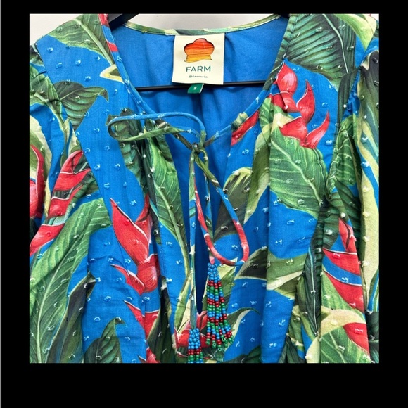 Farm Rio Dream Garden Mini Dress Ruffle Tassel Tie size Small in Blue Swiss Dot - Picture 12 of 12